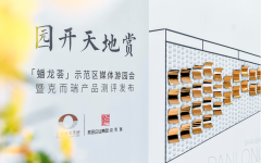 园开天地赏｜不负期待，上海蟠龙天地以卓越产品力再造摩登江南 暨［蟠龙荟